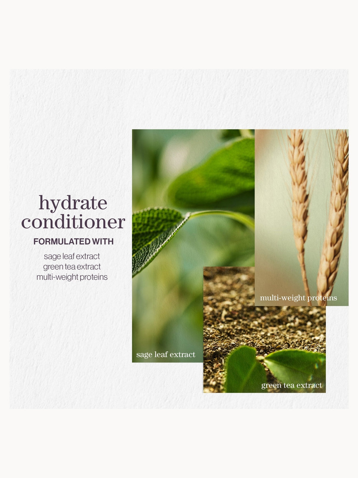 Pureology Hydrate Nourishing Conditioner 1000ml – brand image 3