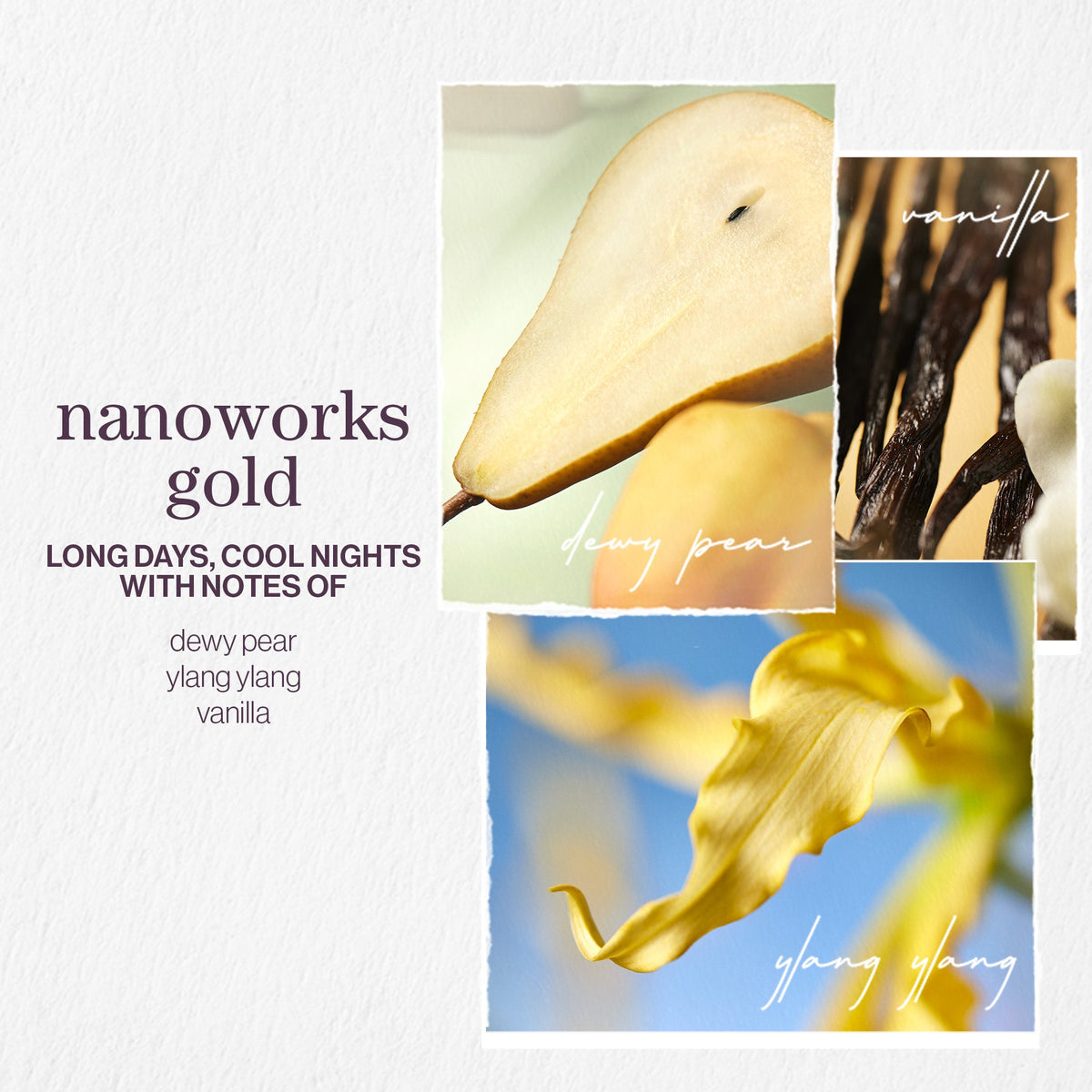Pureology Nanoworks Gold Shampoo 1000ml – brand image 7