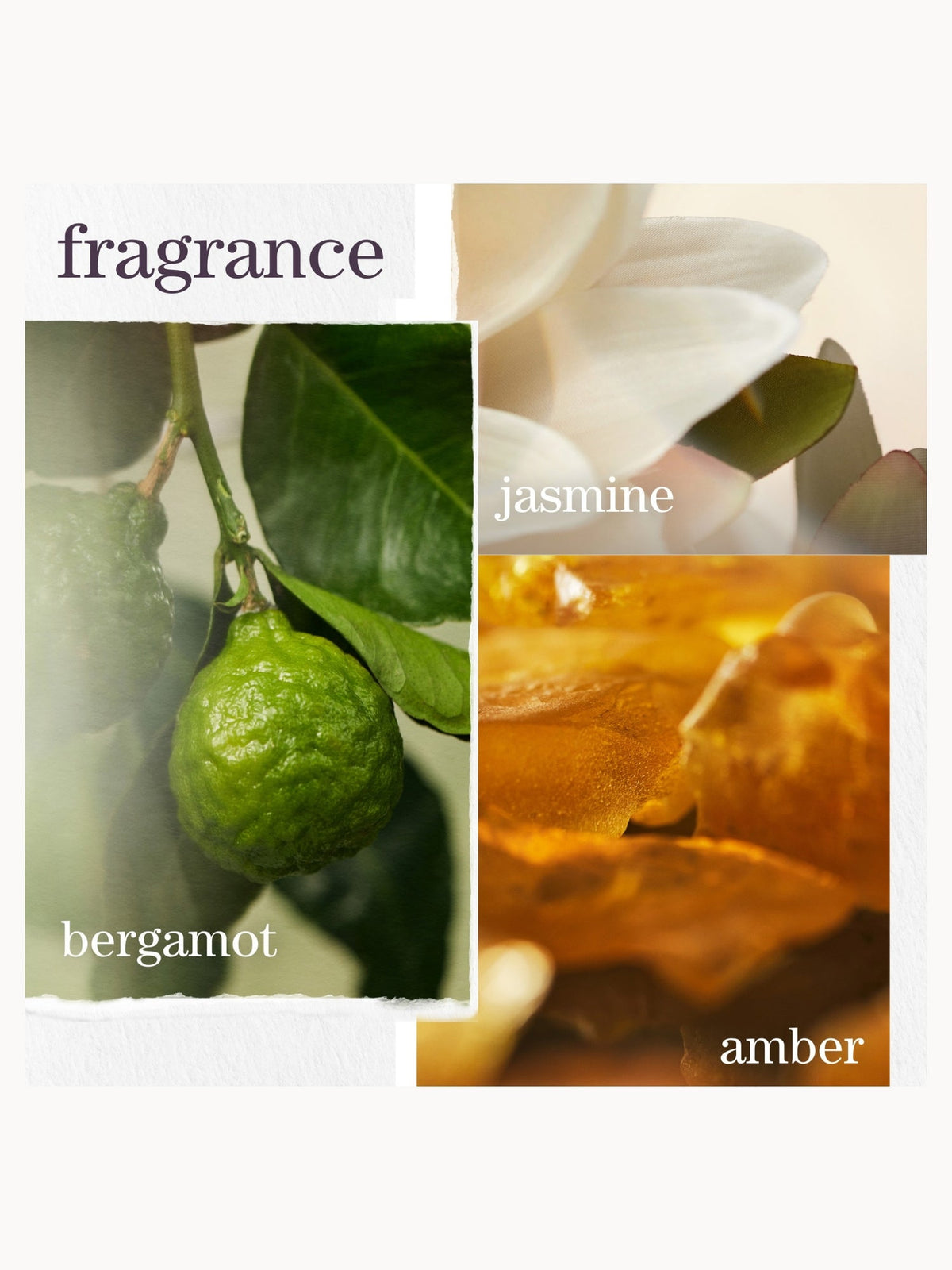 Pureology Strength Cure Dream Healer Serum for Damaged Hair 100ml – brand image 8