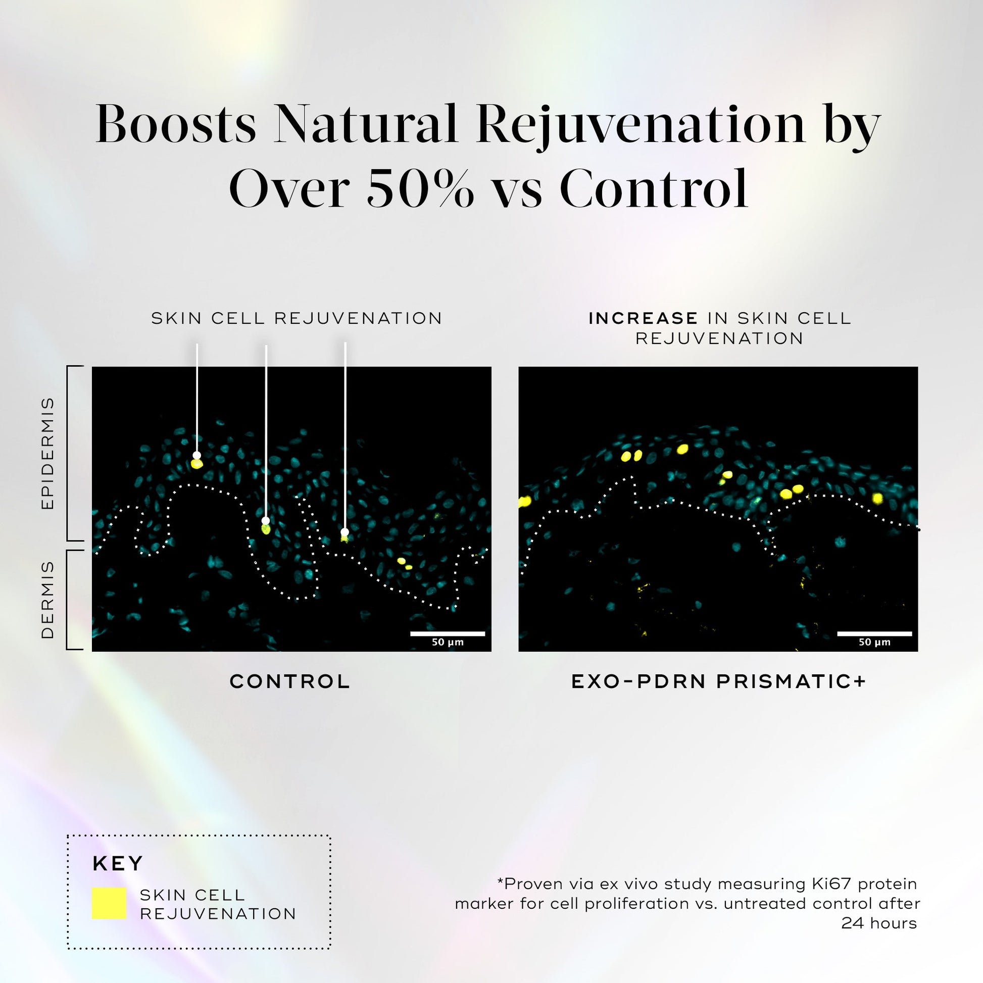 Medik8 EXO-PDRN Prismatic+ regeneration study