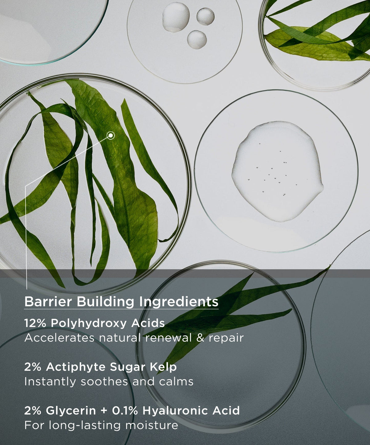 NeoStrata Restore PHA Barrier Recovery Cream key ingredients